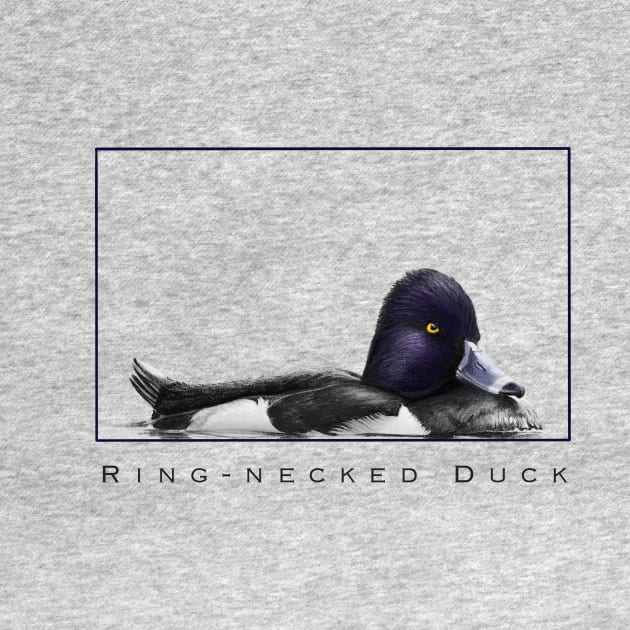 Ringer - Ring-Necked Duck by  Cory James Fine Art